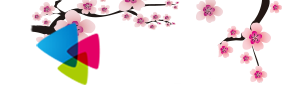 柚子小说